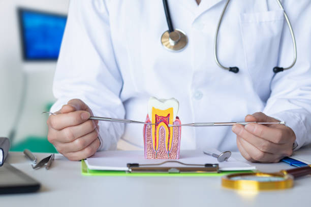 Best Emergency Care for Gum Disease in Big Timber, MT
